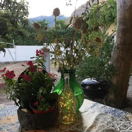 L' Albarosa Affittacamere E