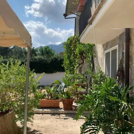 L' Albarosa Affittacamere E